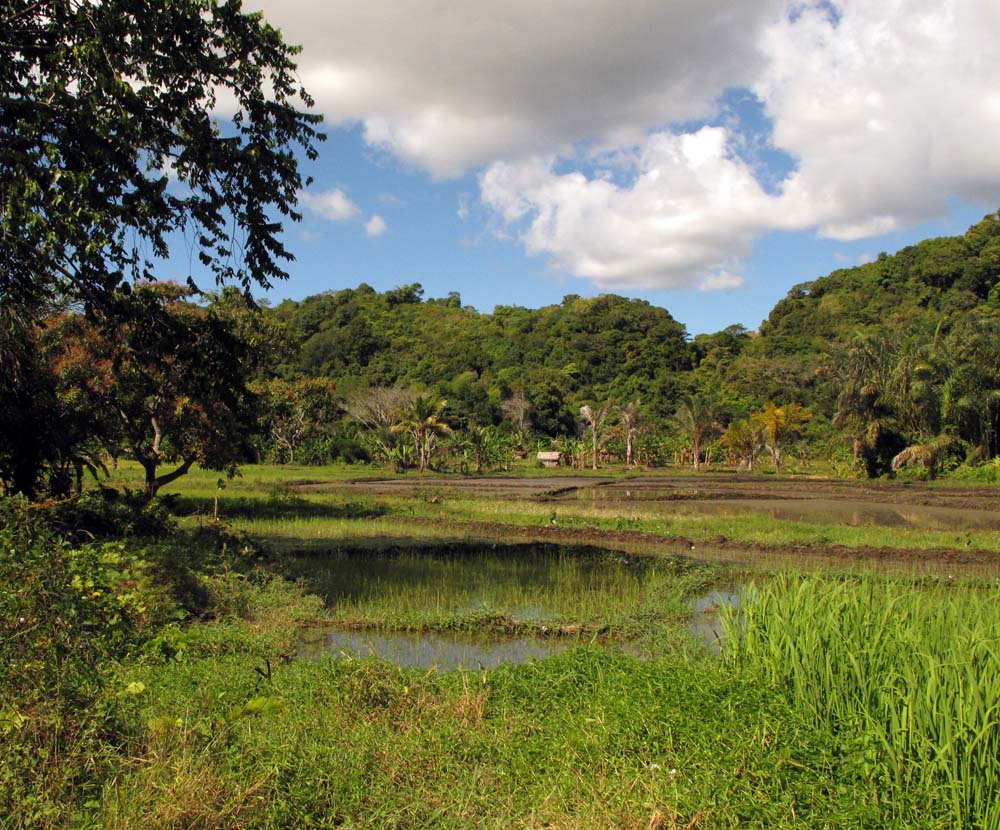 Excursions à Nosy BE